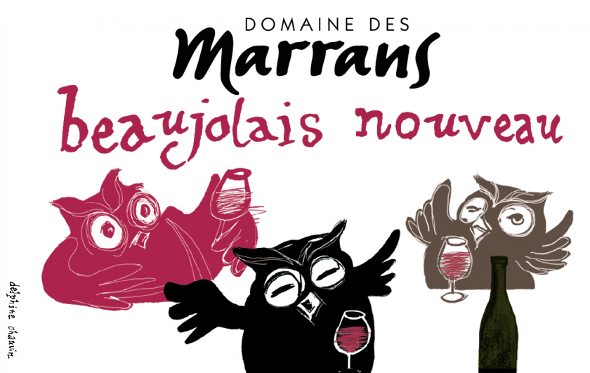 Beaujolais Nouveau Domaine des Marrans