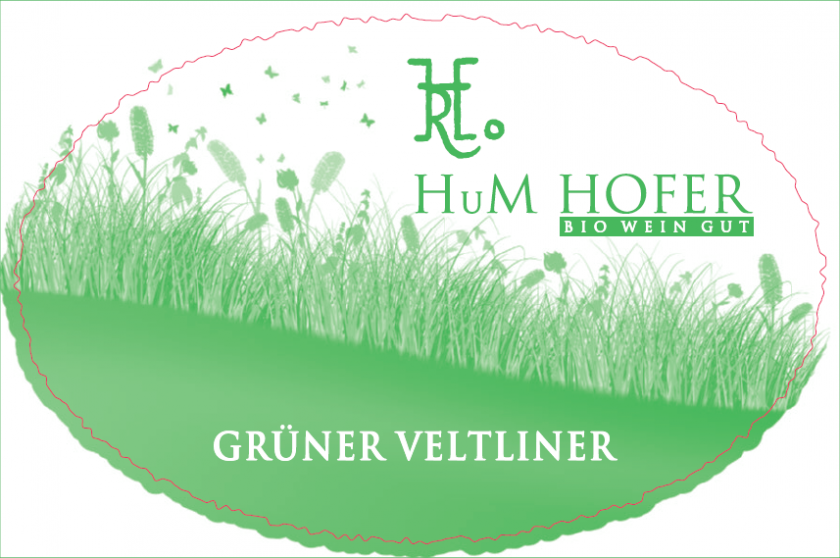 Hofer Grner Veltliner