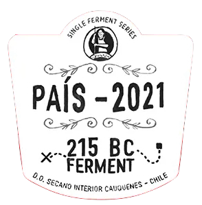 Pais 215 BC Ferment