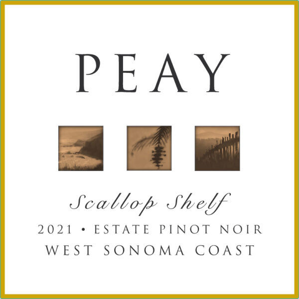 Pinot Noir Scallop Shelf Estate