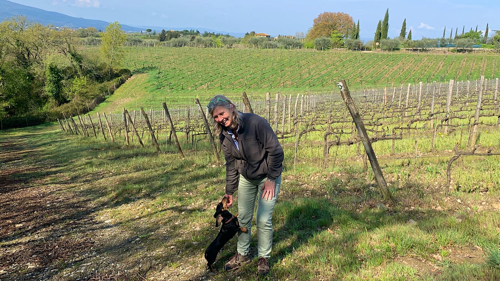 Pomona – The Goldilocks Terroir of Castellina in Chianti