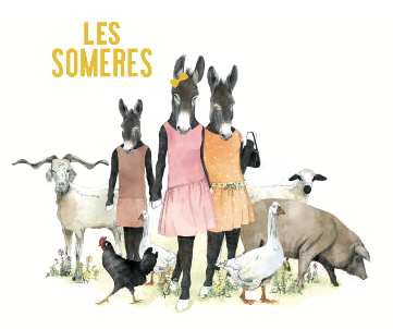Vi Negre Les Someres