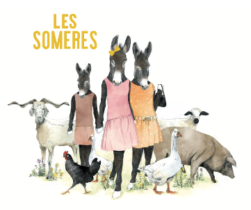 Vi Blanc 'Les Someres'