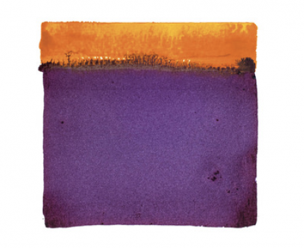 Vino de Mesa [Cabernet Sauvignon]