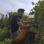 2021 Harvest Notes from France 9