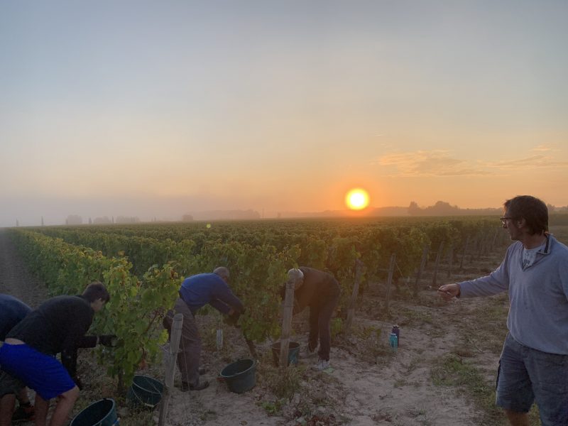 2021 Harvest Notes from France