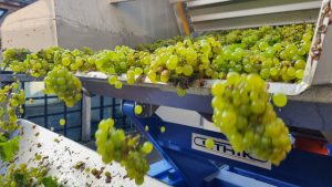 2021 Harvest Notes from France