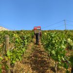 2021 Harvest Notes from France 6