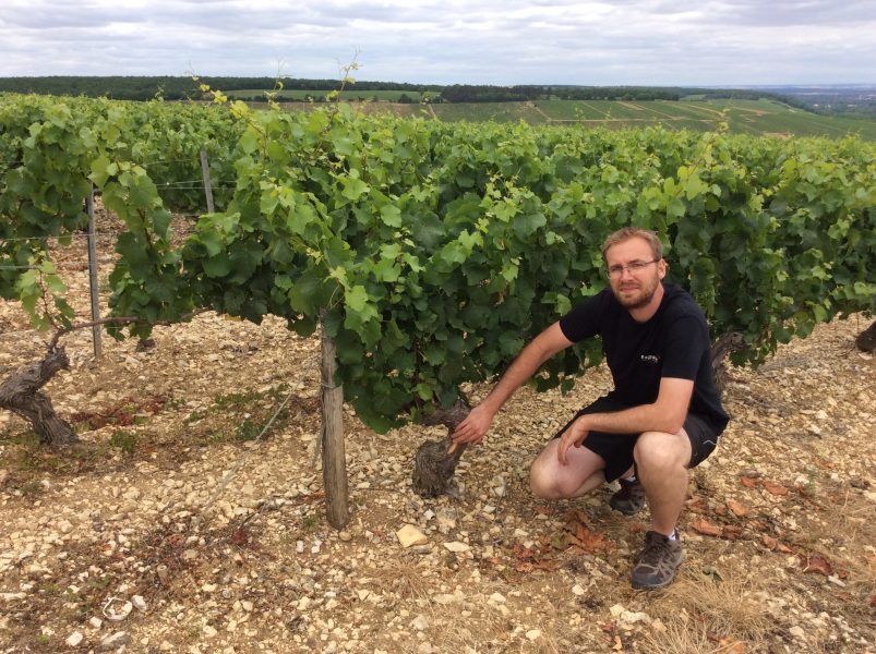 Vincent Dampt’s Beginnings, Philosophy, and Lineup of Quintessential Chablisienne Wines