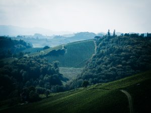 Limestone Pure: Introducing Domaine Ciringa