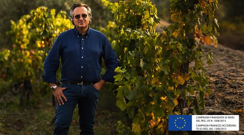 Valiano Chianti Classico: Celebrating the History and Future of Castelnuovo Berardenga