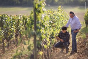Valiano Chianti Classico: Celebrating the History and Future of Castelnuovo Berardenga 5