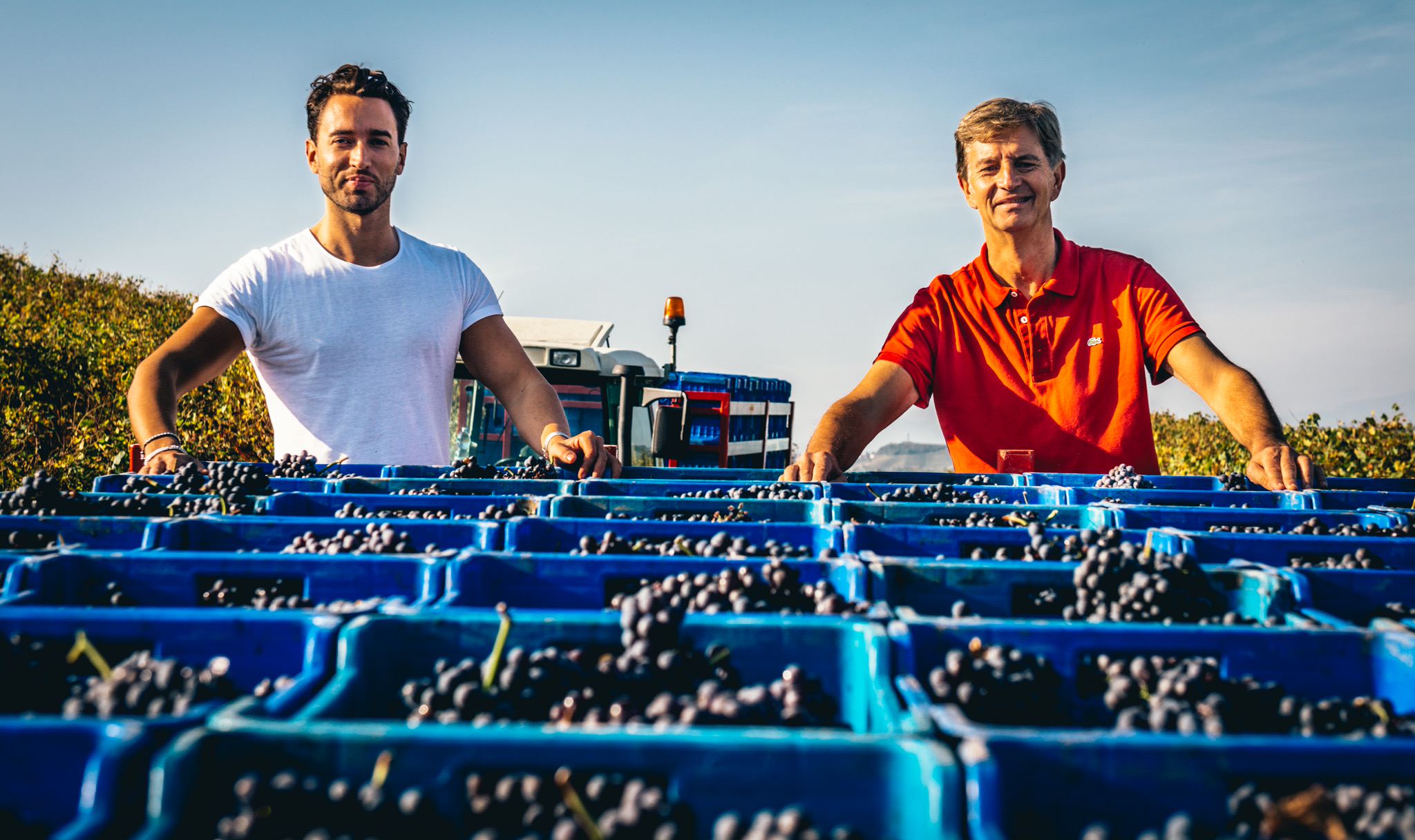 Piedmont Harvest Report: A Return to the Classics 2