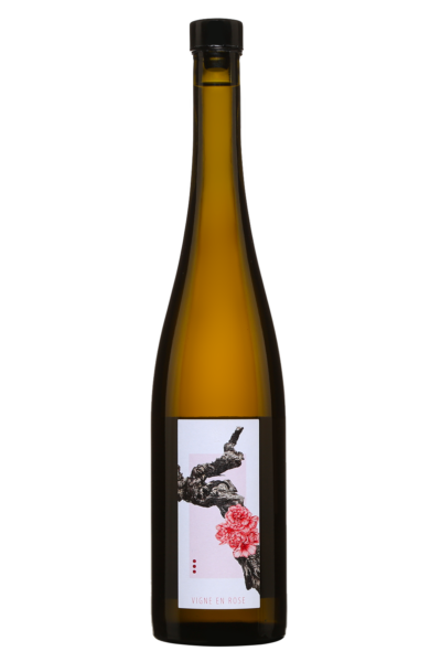 Alsace Blanc La Vigne en Rose
