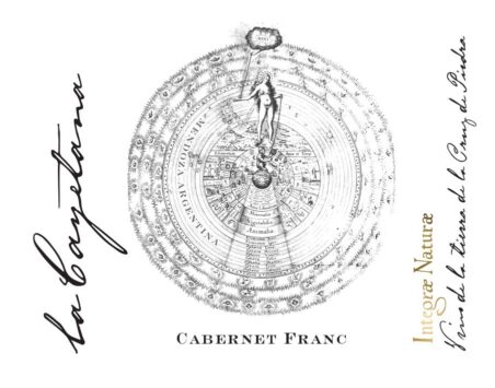 Cabernet Franc