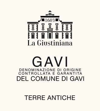 Gavi di Gavi 'Terre Antiche'