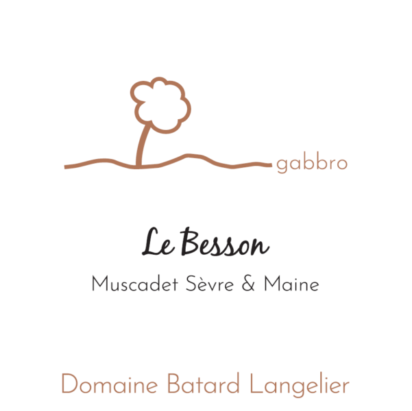 Muscadet Sevre et Maine Le Besson