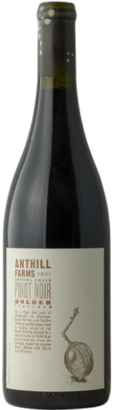 Pinot Noir Holder Vyd