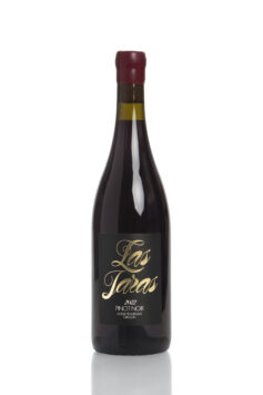 Pinot Noir 'Oregon'