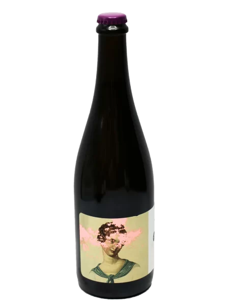 Valdigiue Petillant Naturel Rancho Chimiles Vyd