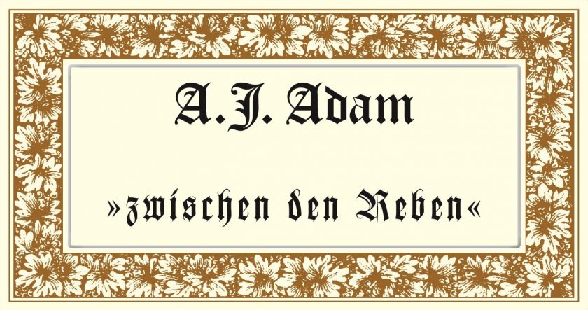 Zwischen den Reben Trocken