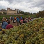 2022 Harvest Notes from France 22