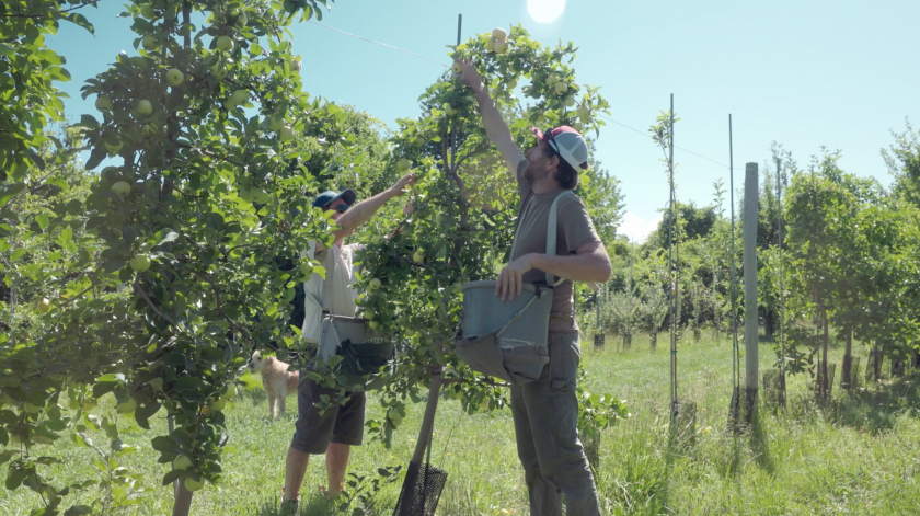 Cider from the Finger Lakes: NY’s Other Big Apple