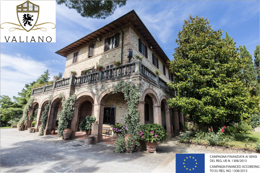 Chianti Classico Gran Selezione: The Apex of Quality