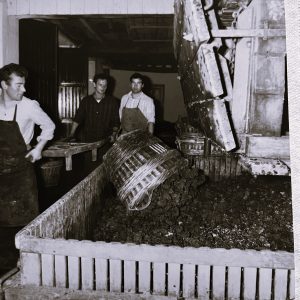 Marne Royalty: A History of Gaston Chiquet 4