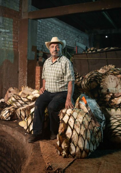 Palomas Mensajeras