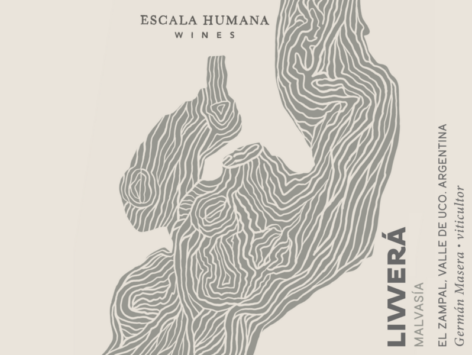 Malvasia 'Livvera'