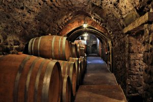 The PM Diaries: Visiting Bodegas Frontonio 9