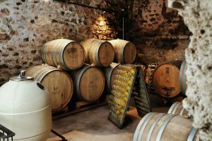 The PM Diaries: Visiting Bodegas Frontonio 10