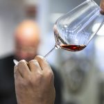 Barolo & Barbaresco: Past & Present 17