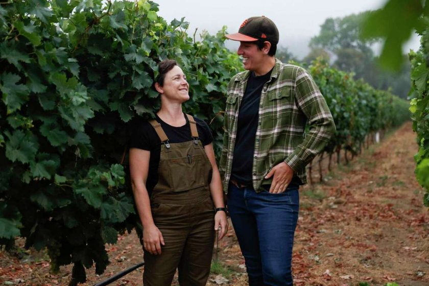 Birdhorse Wines