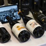 The Petite Portfolio Tasting: NYC 2023 55