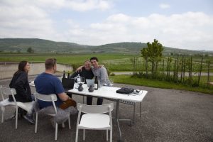 The 2022 Austria & Germany Vintage Report 19
