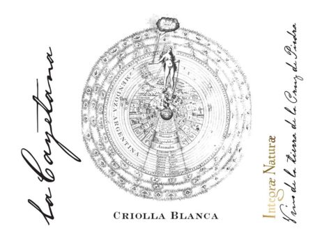 Criolla Blanca