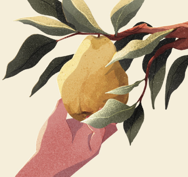 Le Cidre Quince Cider