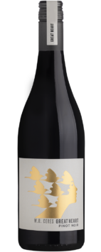Pinot Noir 'Ceres'