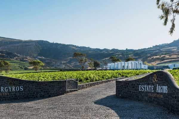 Estate Argyros: Santorini’s Old-Vine Icon