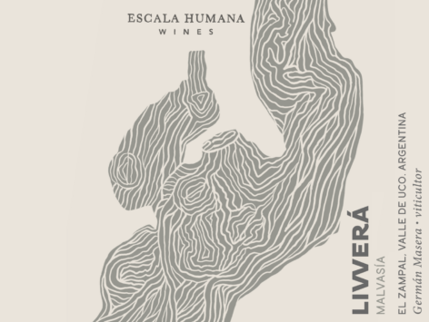 Malvasia 'Livvera'