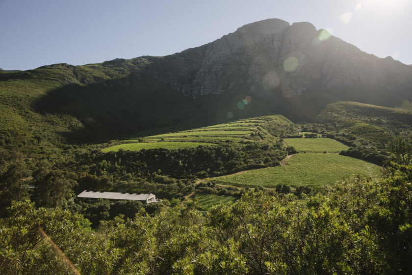 Keermont Vineyards