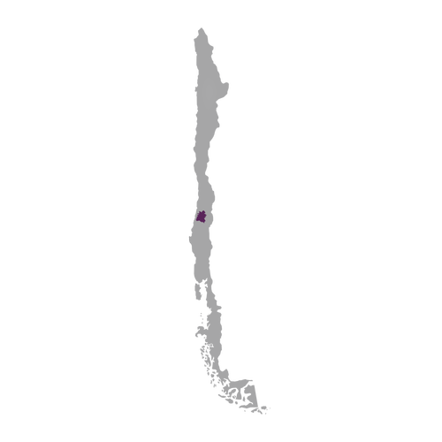 Region: Maule