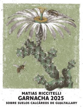 Garnacha 'Gualtallary'