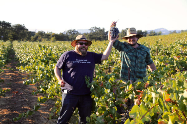 Bedrock Wine Co. Joins the Skurnik Portfolio in California