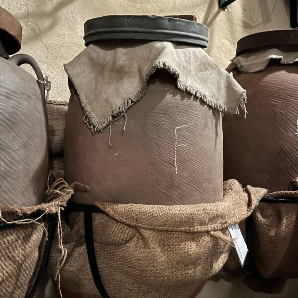 Exploring Arak: The Ancient Elixir and a New Chapter with Massaya 1