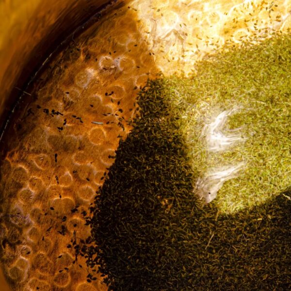 Exploring Arak: The Ancient Elixir and a New Chapter with Massaya 3