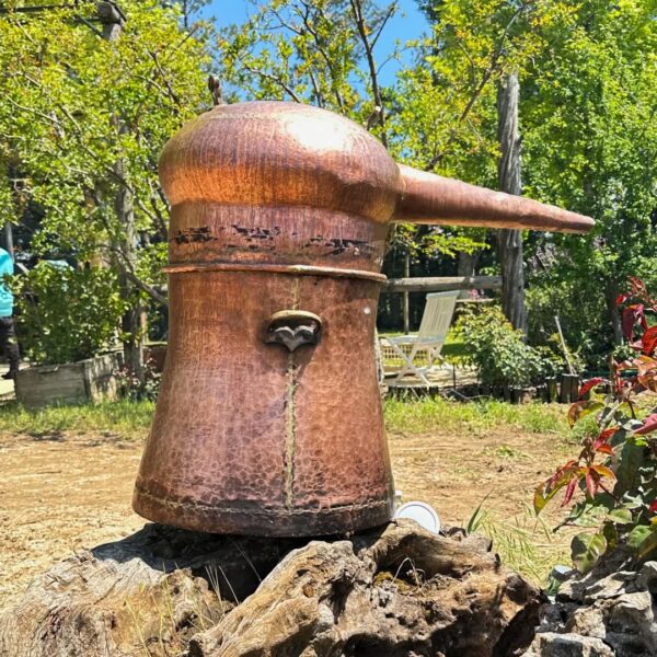 Exploring Arak: The Ancient Elixir and a New Chapter with Massaya 4