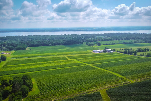 A Quarter Century of Precision: Ravines Celebrates 25 Years of Finger Lakes Winemaking